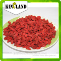 Health food goji (wolf) berry with high quality